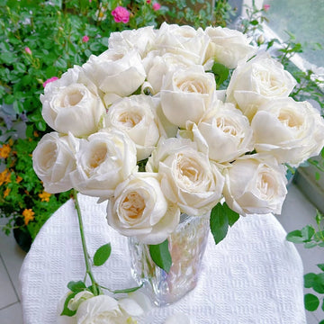 Wedding Road Rose/Cloche de Mariage Rose
