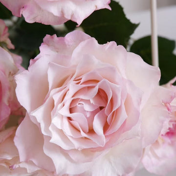 Seraphim Rose