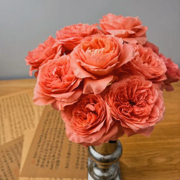 Candy X-Pression Rose