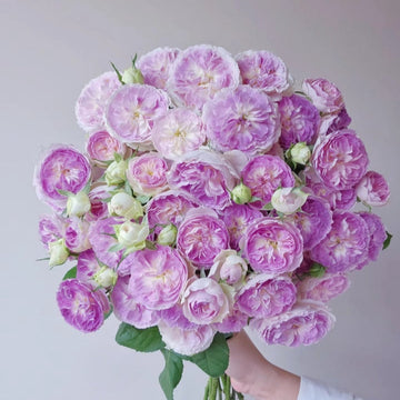 Blue Moon Stone Rose