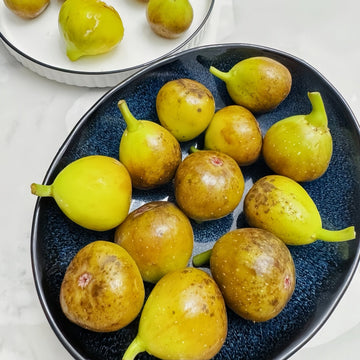 Fig Trees