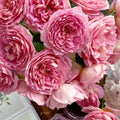Jubilee Celebration Rose