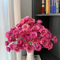 Aoi Rose