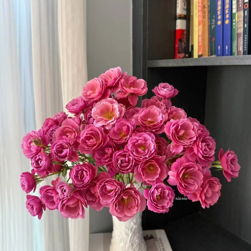 Aoi Rose