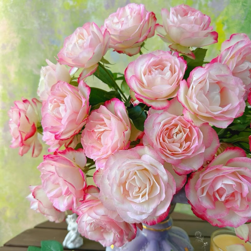 Jubilé du Prince de Monaco Rose