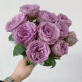 Blue Pompon Rose