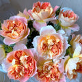 Lanterne Citrouille Rose