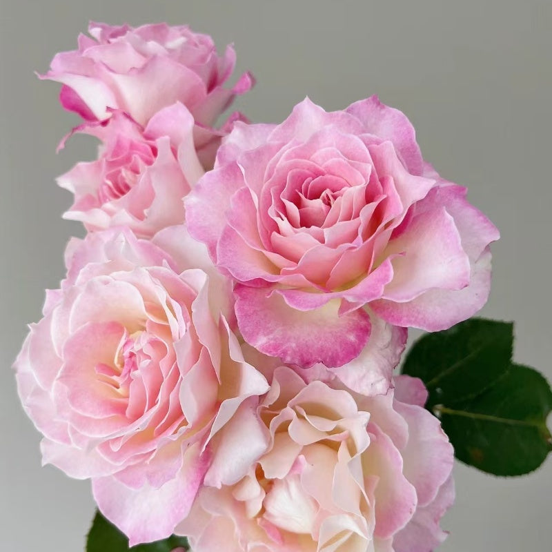 Seraphim Rose