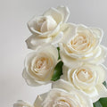 Jeanne Moreau Rose