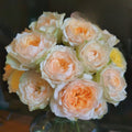 Gravity Rose