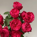 Rouge Royale Rose