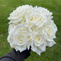 Pape Jean Paul II Rose