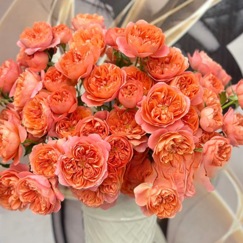 Living Coral Rose