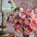 Claude Monet Rose