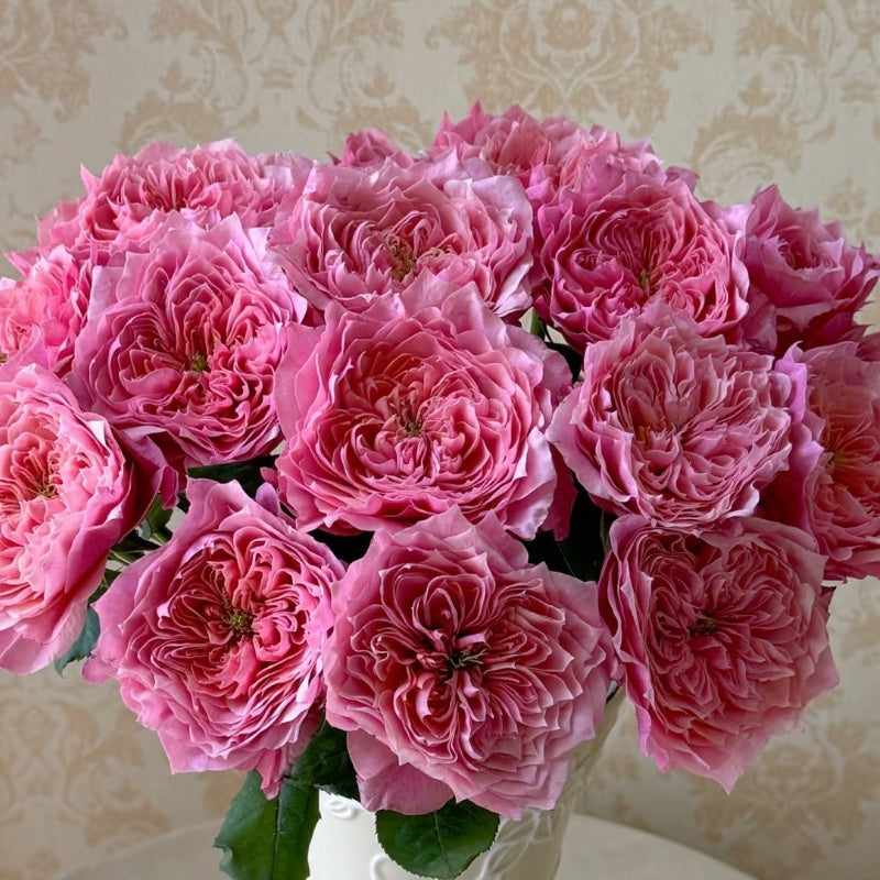 Wei Zi Fu Rose