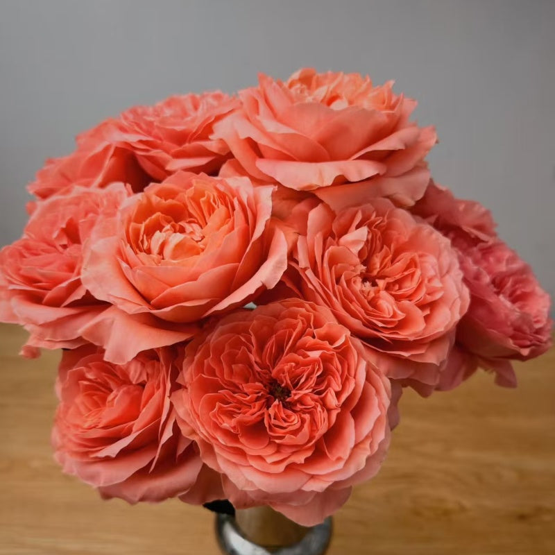 Candy X-Pression Rose