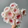 Monique Darve Rose
