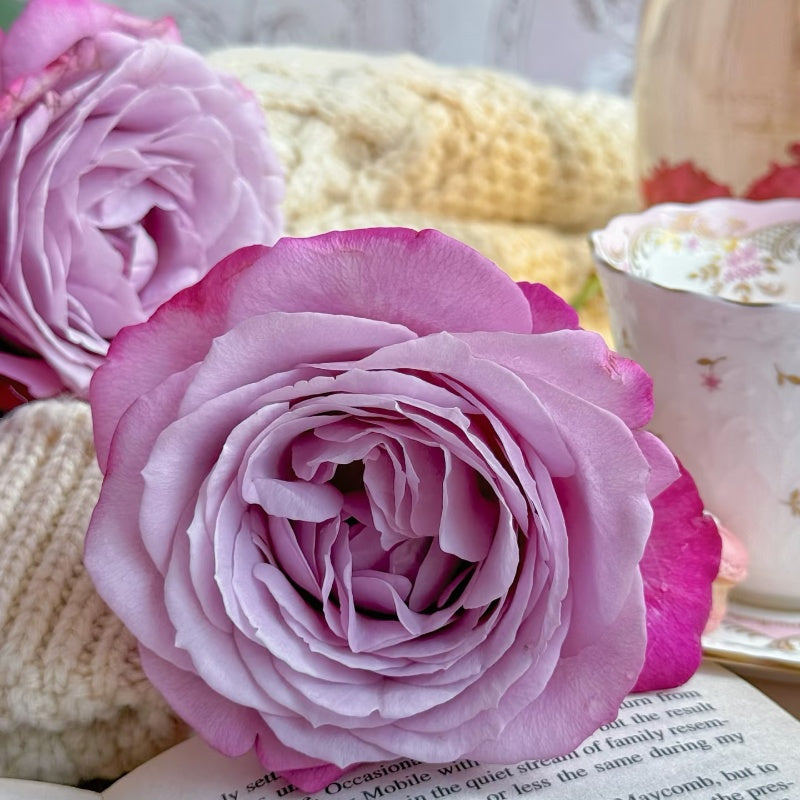 Perfu Purple Rose