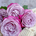 Perfu Purple Rose