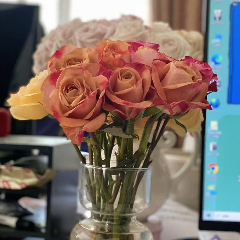 Symbol Rose