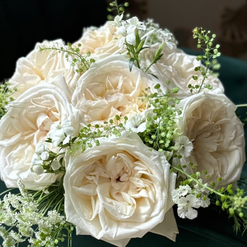 White O’Hara Rose