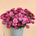 Deep Water Rose