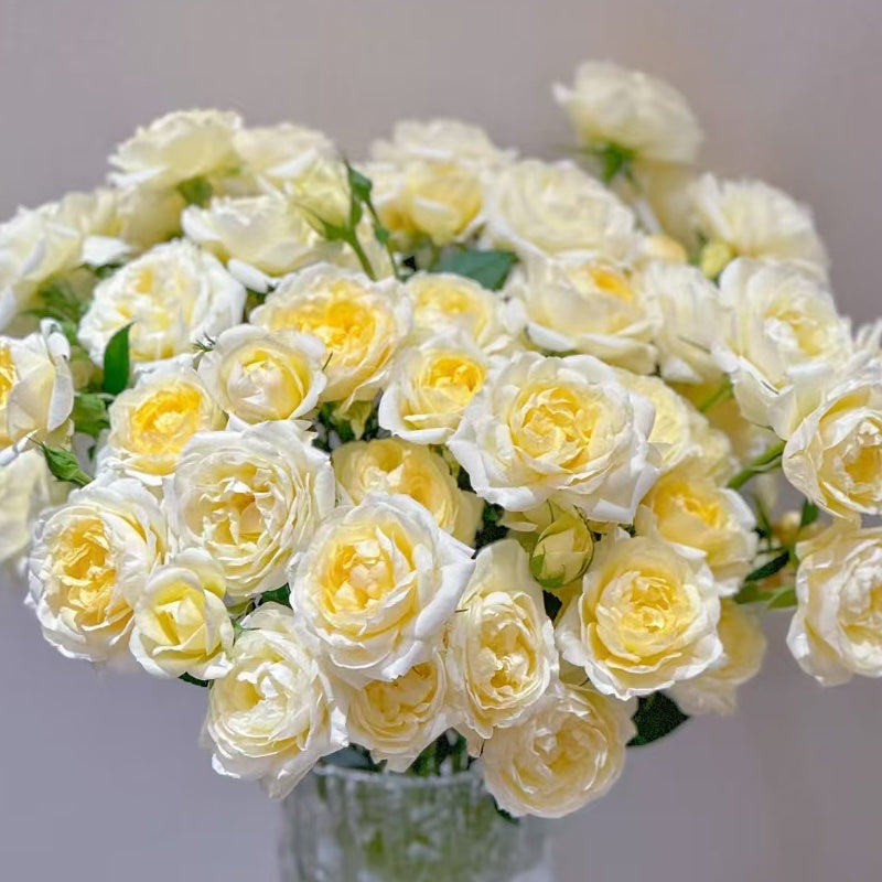 Lemon Piano Rose