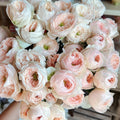 Sweet Diamond Rose