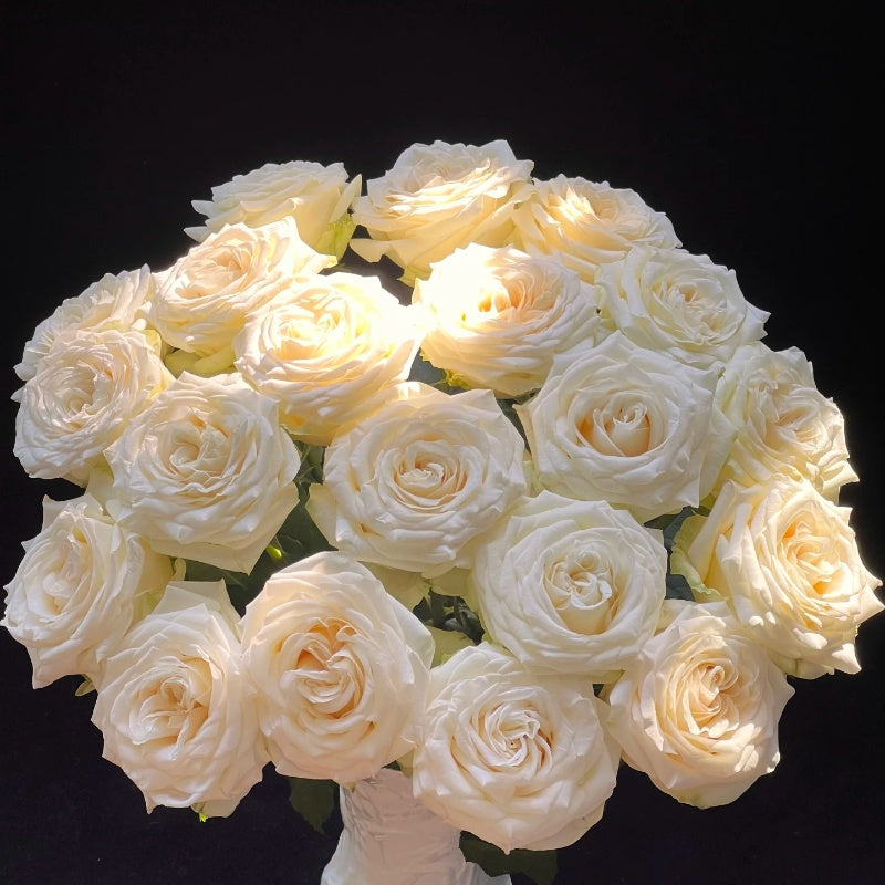 Candlelight Rose