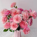 The Alnwick Rose