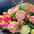 Pitahaya Rose