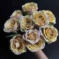 Pine Dream Rose