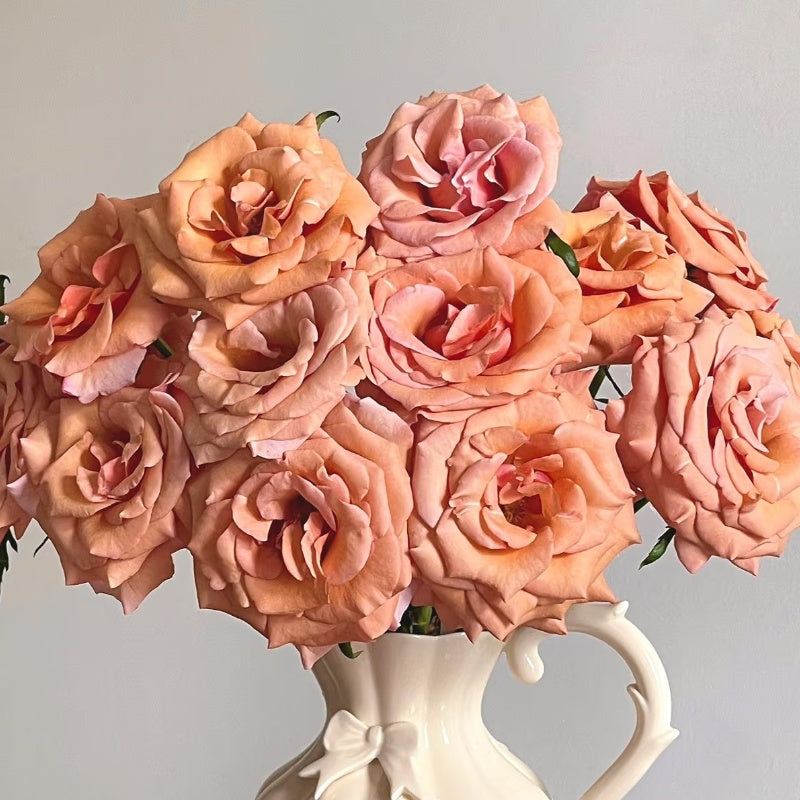 RP Moab Rose
