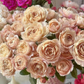 Charlotte Perriand Rose