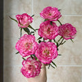 Carousel Rose