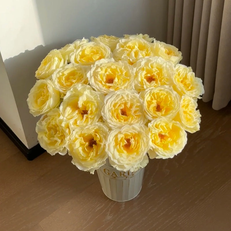 Butter Scotch Rose