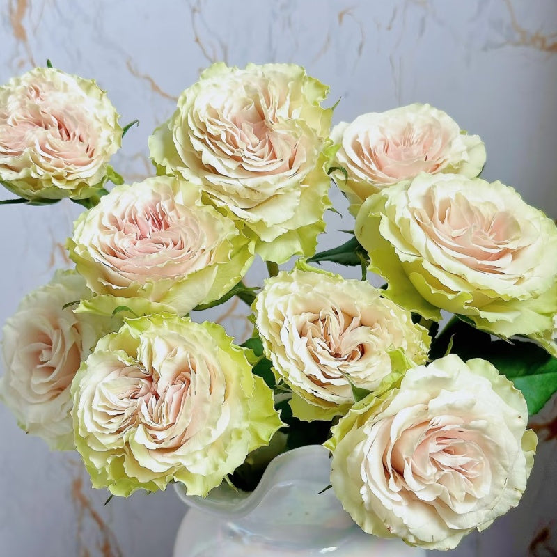 Wakana Rose