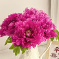 Rouge Pivoine Rose