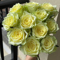 Rose Terraz Gemini