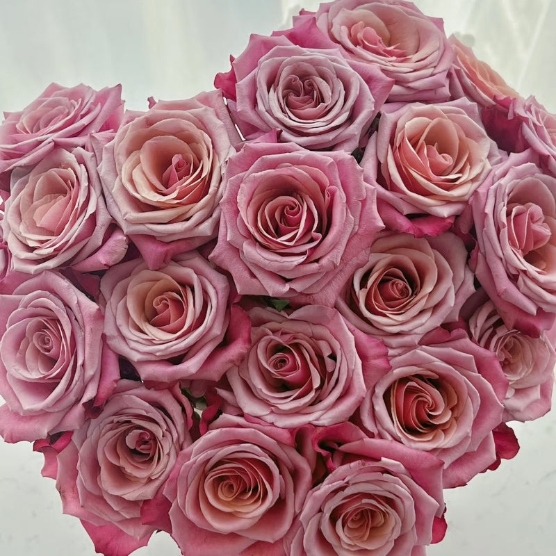 Cold Brew Rose