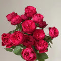 Rouge Royale Rose