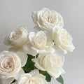 Jeanne Moreau Rose