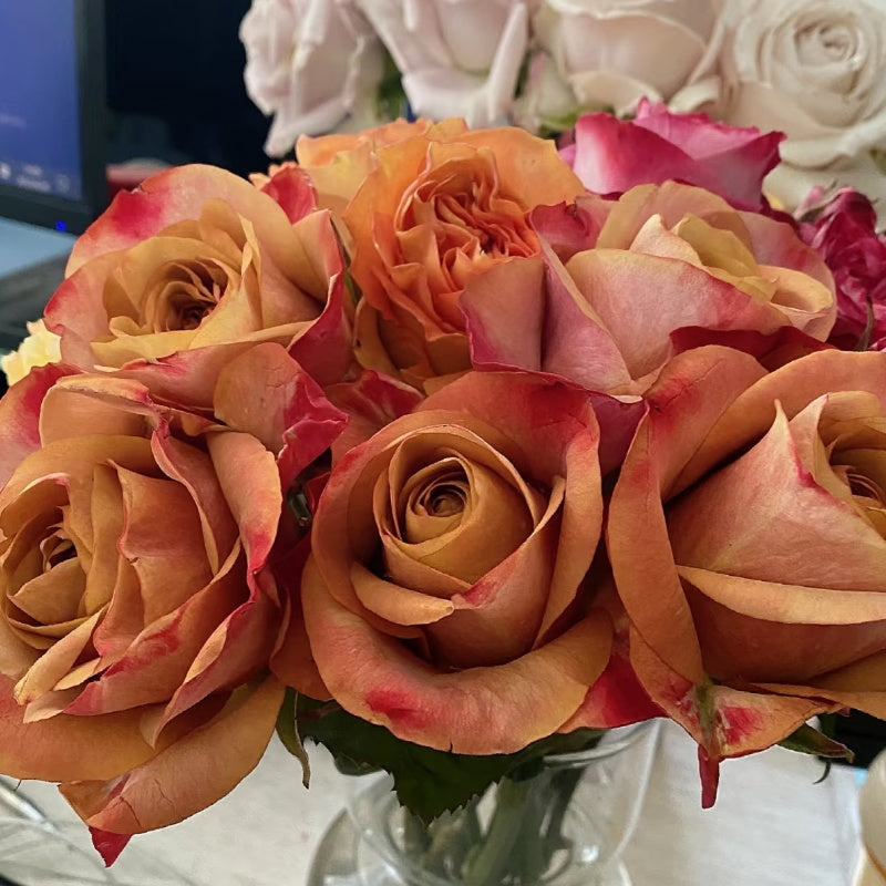 Symbol Rose