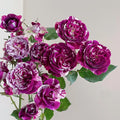 Scented Jewel Rose