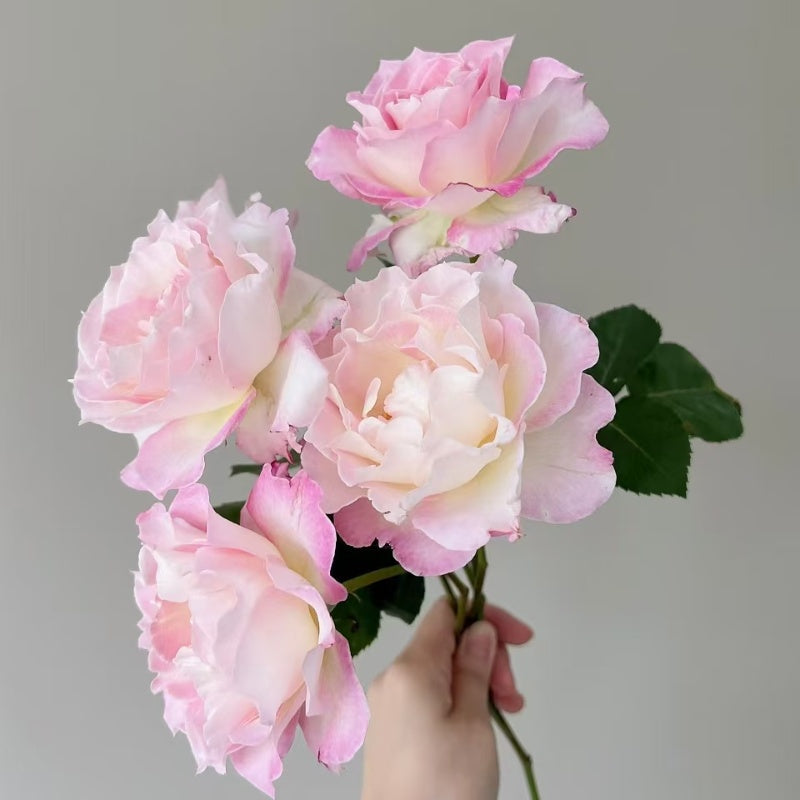 Seraphim Rose