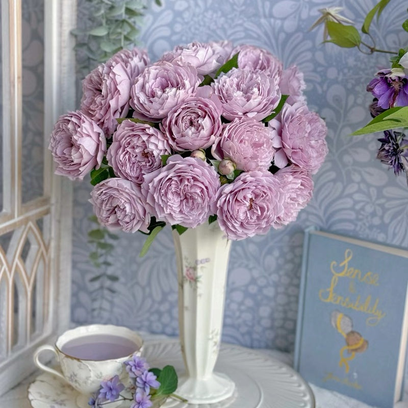 kongmeng Rose