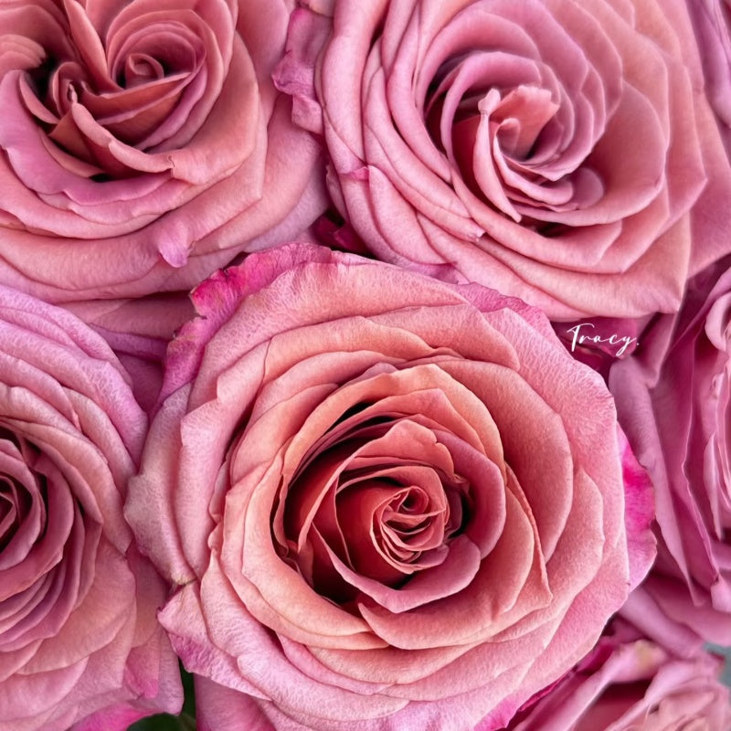 Single Malt Rose