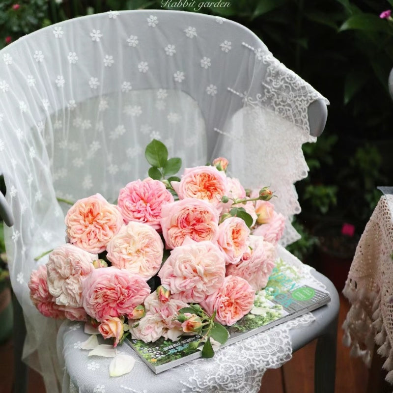 Alchymist Rose