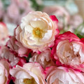 Nostalgie Rose