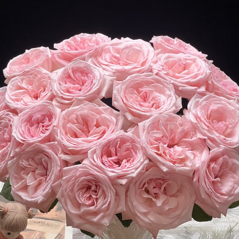 Pink O’Hara Rose